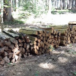 bois de chauffage bois de chauffage Bouches-du-Rhône
