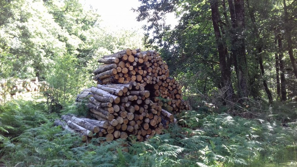 bois de chauffage Charente-Maritime